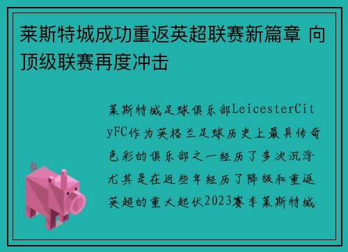 莱斯特城成功重返英超联赛新篇章 向顶级联赛再度冲击